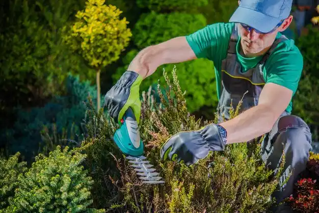 landscaping services Andersonville